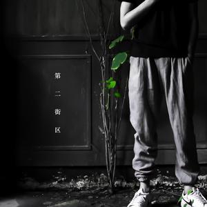 国产嫩交肏屄视频
