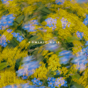 国产嫩交肏屄视频
